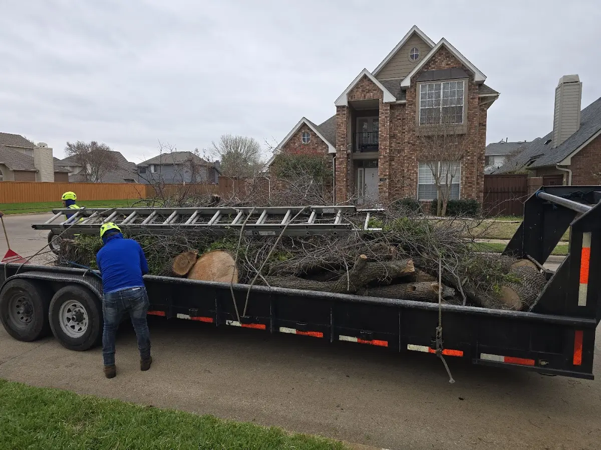 Expert Tree Fertilization with proper safety equipment in Allouez
